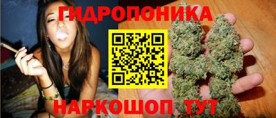 spice Пушкино